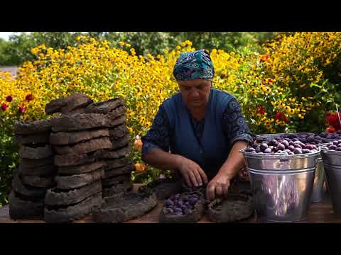 Long Term Prune Plums Preservation Without a Refrigerator
