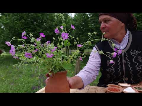 Making Natural Acacia Flower Jam and Delicious Lamb Dish