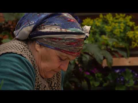 A Quiet Village Day Homemade Vegetable Pies