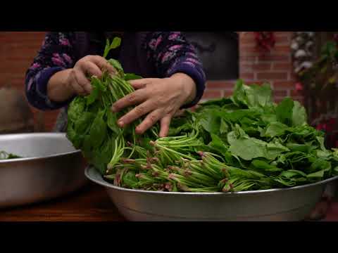 Traditional Georgian Spinach Pkhali Easy Healthy