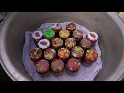 Cheap Easy Roach Fish Preservation Method for Whole Year