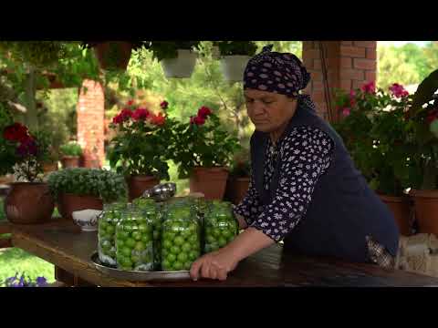 Cherry Plum Harvesting Preserve the Sunshine in a Jar