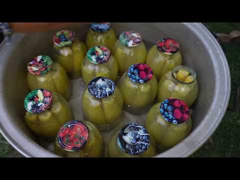 Lock in Freshness for a Whole Year The Easiest Method to