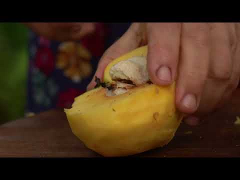 Baking with Fresh Quince Simple Autumn Recipe