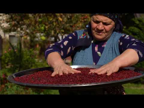 Winter Preparation Wild Barberry Harvesting and Preservation