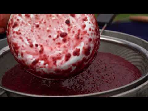 Cherry Harvest Season Preserving Summer for Winter