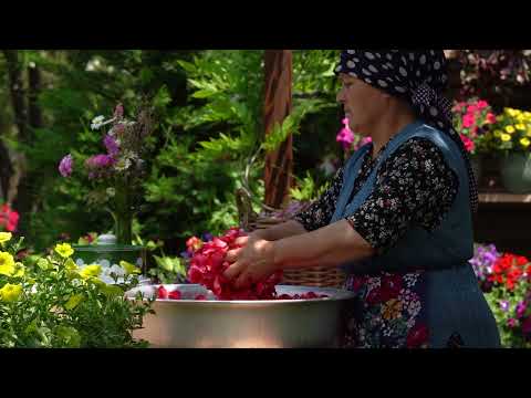 Cook with Roses A Delicious Drink and Pastry