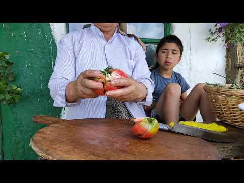 Nənə Bostanımızın Tərəvəzlərindən Yemək Hazırladı ASMR food