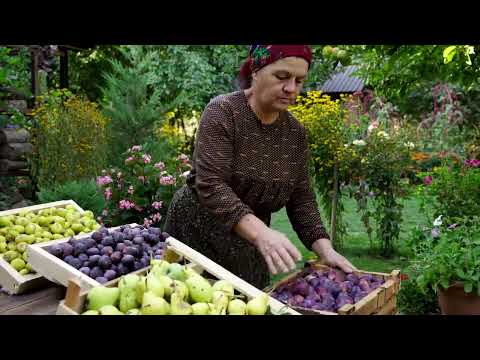 Drying Fruits in Mud Oven for Long Term Storage
