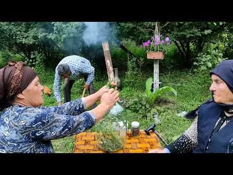Nənə öz Bağın Məhsullardan Həftəbecər və Xiyar Tutması