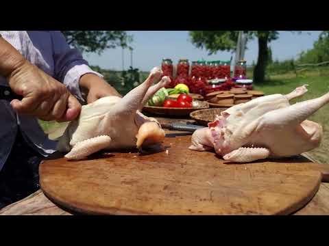 Picking Raspberries For Canning Outdoor Cooking
