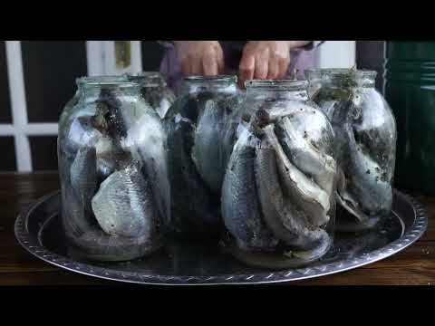Easy Fish Preservation Technique Will Keep Your Fish Fresh