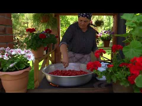 Organic Strawberries Harvesting and Prepare Natural Sweets