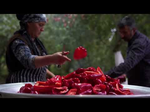 Bell Pepper Harvest Cooking Country Style Bell Pepper Paste