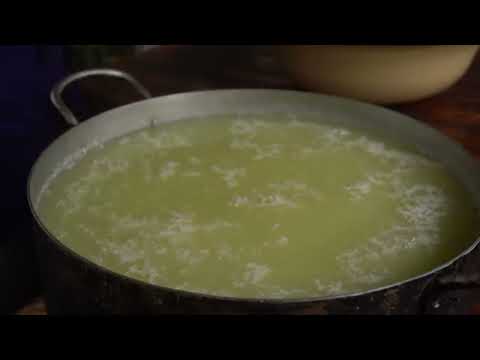 Home Cheese Making Mozzarella Cheese from Fresh Milk