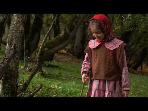 Autumn Forest Mushrooms Collecting and Pickling