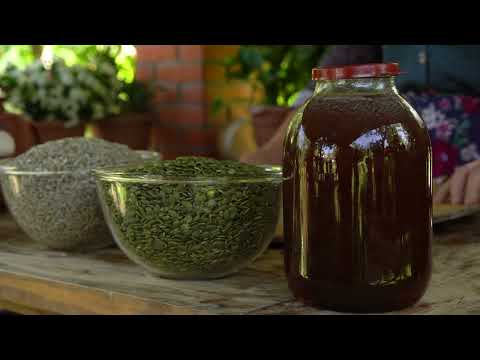 Our First Honey Harvest of the Year And Sweet Treats to
