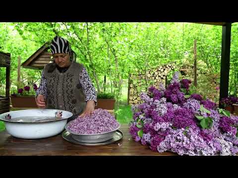 The Scent of Spring Homemade Lilac Syrup