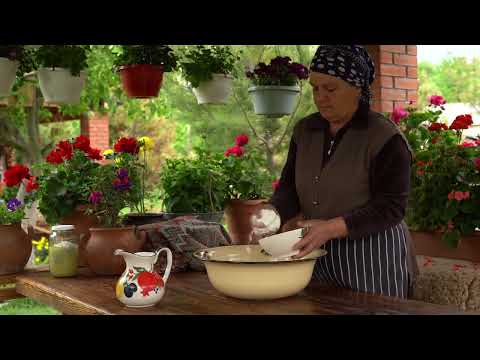 Fresh Sheep Milk Making Traditional Caucasus Cheese
