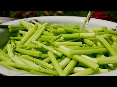 Wild Hogweed Picking and Pickling Winter Preparation in the