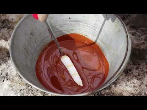 Painting our Stock House and Canning Vegetable Salad