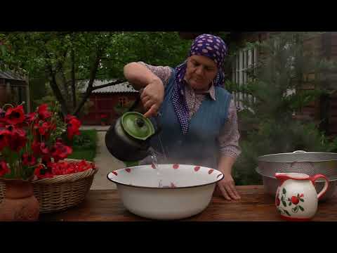 The Scents of Spring Picking Poppy Flowers For Jam