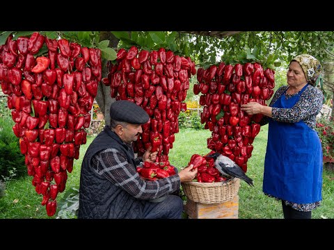 Farm to Table Crafting Homemade Bell Pepper Paste from