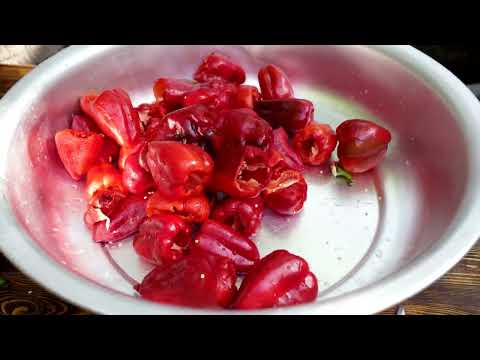 Grandma s Secret Tasty Tomato Paste Recipe Outdoor Cooking