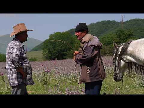 Fresh Garden Vegetable Meat Pie Rustic Village Cooking