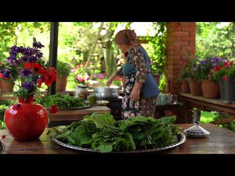 Homemade Beef Dolma in Foraged Grape Leaves Village Method