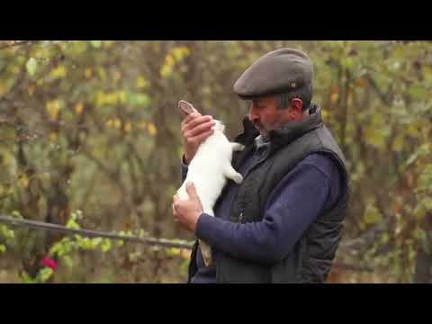 Əsil Ukrayna Borşu Country Life Vlog Outdoor Cooking