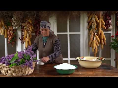 The Best Spring Scent Picking Lilac Flowers and Making Jam