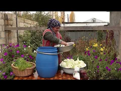 Qış Tədarükü Kələm Turşusu və Azərbaycan Xəngəli ASMR food