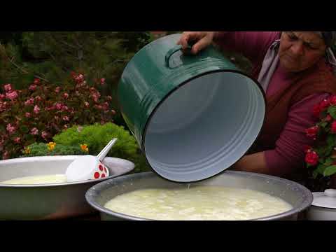 Fresh Goat Milk Cheese Made in Nature