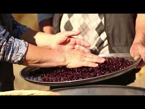 Azərbaycan mətbəxi Yarpaq Dolması və Yemişan Kompotu ASMR