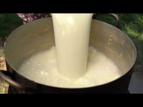 Rustic Desserts Made with Fresh Cow s Milk