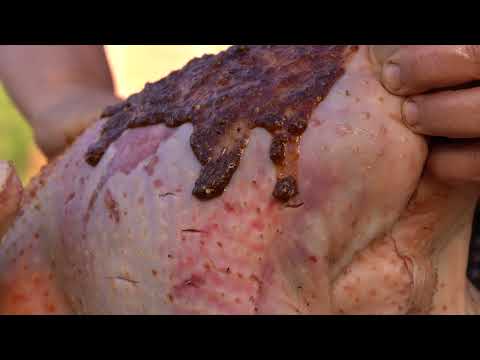 Roasting Stuffed Turkey A Festive Favorite Recipe