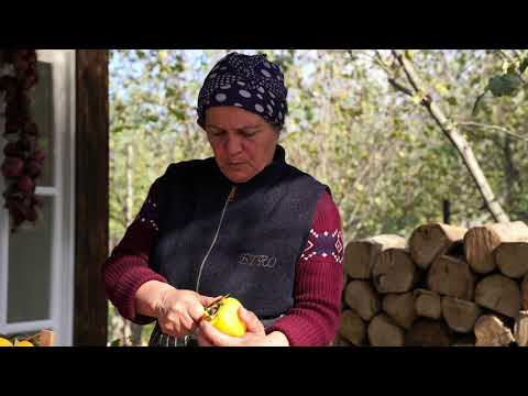 Harvesting and Drying Red Persimmons May the red World s
