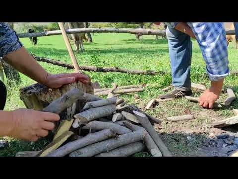 Bostanımızın Tərəvəzlərdən Kəndsayağı Kələm Dolması ASMR