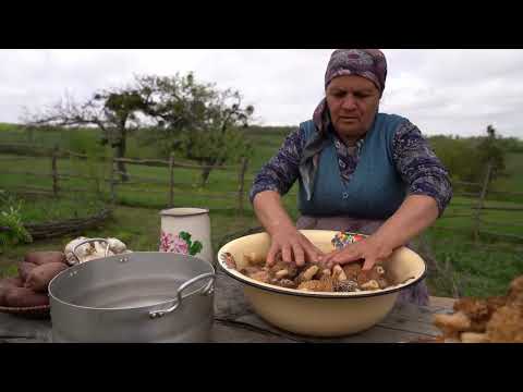 Morel Mushrooms Harvesting and Cooking