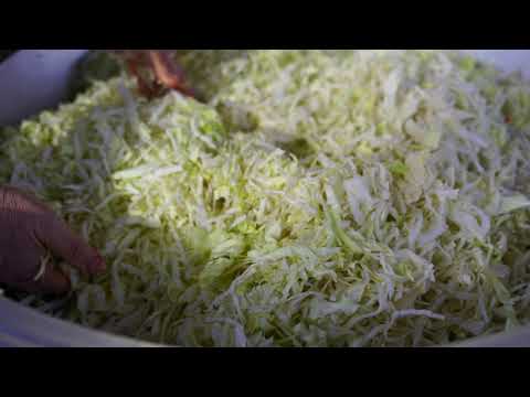 Planting a New Flower Bed for House and Making Sauerkraut