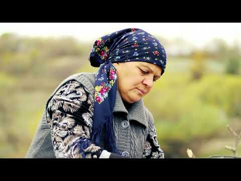Sacda Tərəvəzli Sazan Balığı Country Life Vlog Outdoor