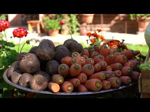 Homemade Pickled Cabbage A Traditional Recipe