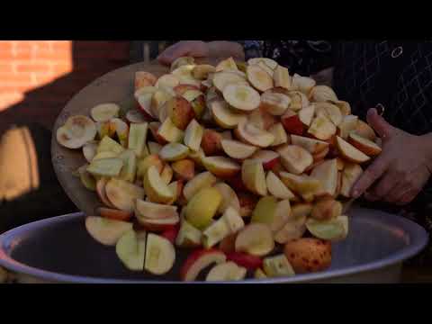 Rustic Mini Apple Tarts Traditional Village Dessert