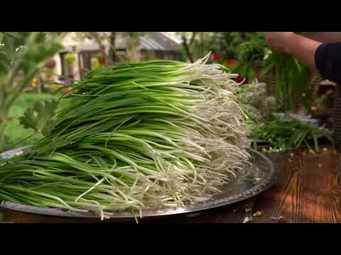 Caucasian Wild Garlic Collecting and Making Flatbreads