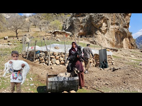 The life of Iranian nomads improving the health of sheep