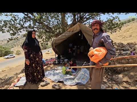 Kulthum s Adventure in the Scary Cliffs Pure Scenes from