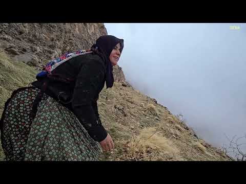 Queen of the Rocks The Adventures of a Nomad Woman