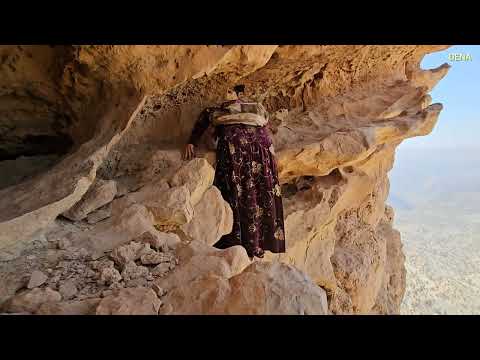 The suspenseful story of searching for the lost sheep