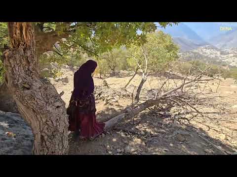 Washing blankets in the spring Kulthum under pressure from